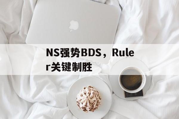 开云体育app-NS强势BDS,Ruler关键制胜的简单介绍