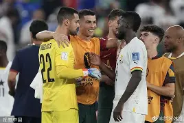 开云下载-葡萄牙3-2逆转匈牙利，小组领先优势明显的简单介绍