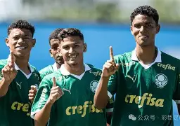 帕尔马遭受失利,降级危机重重 帕尔马遭受失利,降级危机重重