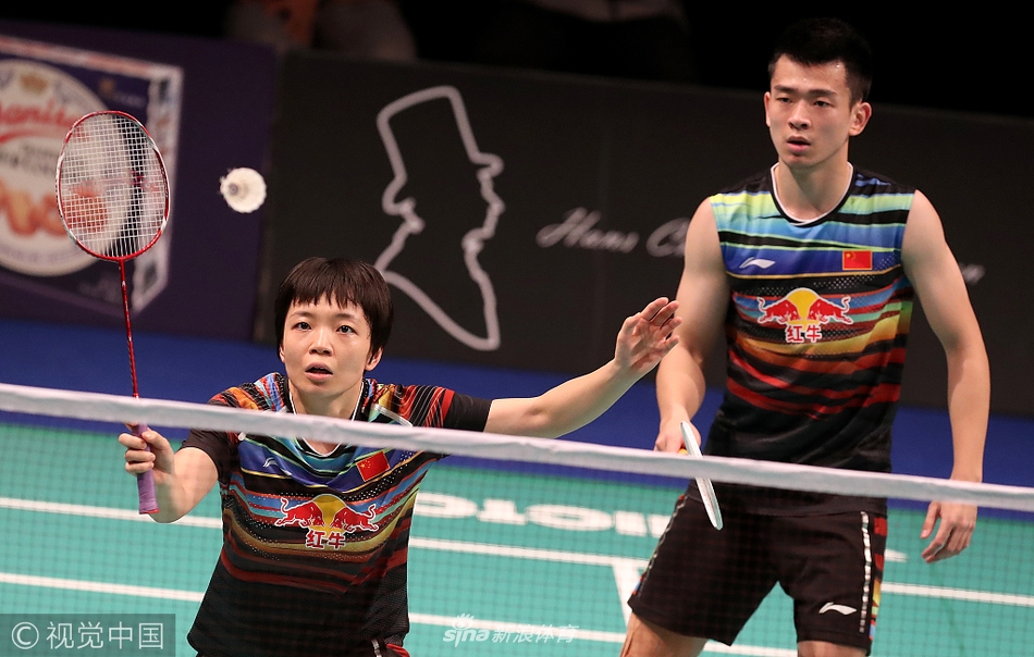 德国队鏖战丹麦队，郑思维关键制胜的简单介绍