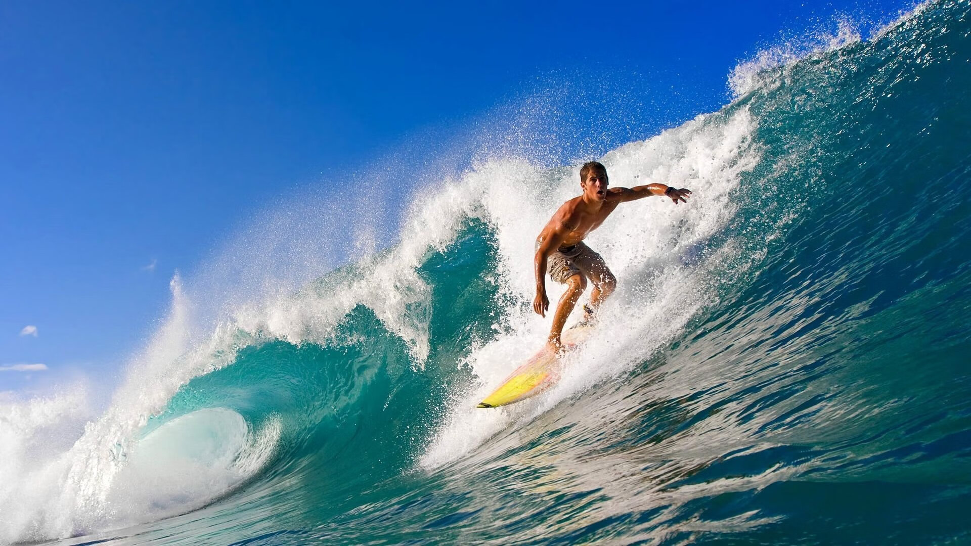 开云下载-绝境之光，特奥生死战接管西决，美国正面击溃哥伦比亚的背后